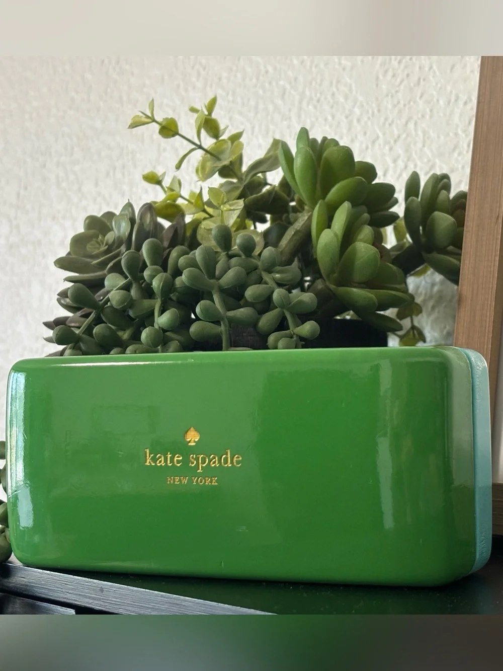 Kate Spade Sunglasses Hard Case